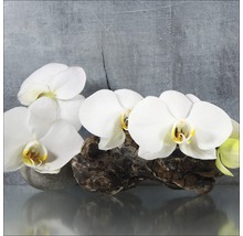 Decoratie met witte orchideeën op drijfhout