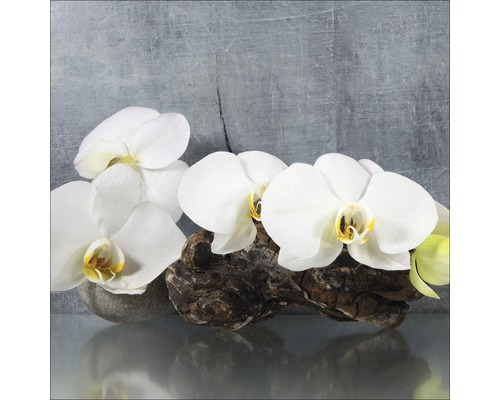 PURE LIVING Schilderij glas White Orchid II 20x20 cm