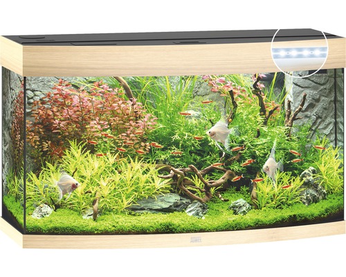 Ingericht aquarium met vissen en planten