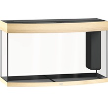 Leeg aquarium met gebogen voorruit en geïntegreerd filter