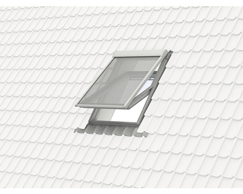 Dakvenster met insectenhor op een dak