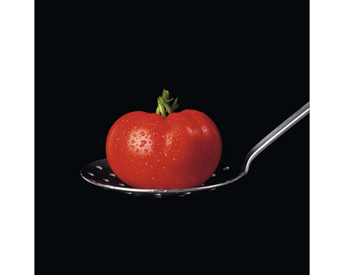 PURE LIVING Schilderij glas Tomato On Black 20x20 cm