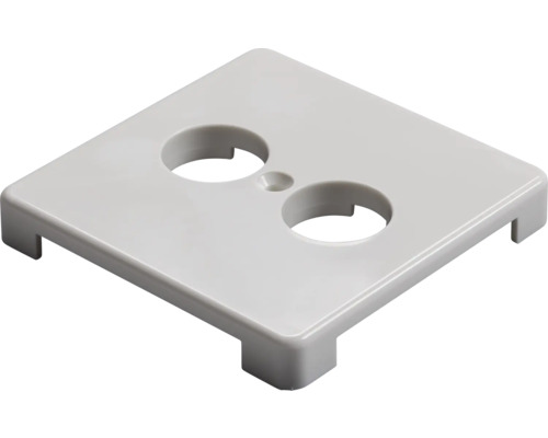 Afdekplaat met twee uitsparingen