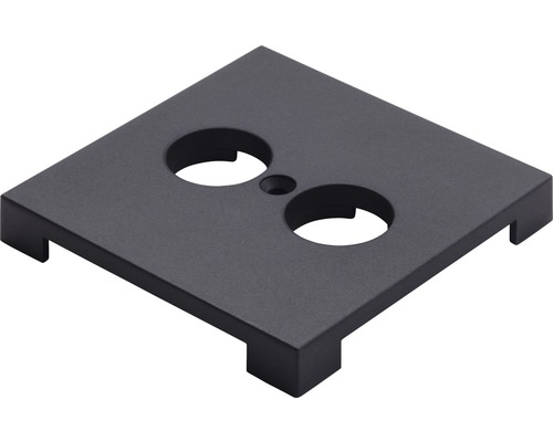 Vierkante montageplaat met twee ronde uitsparingen