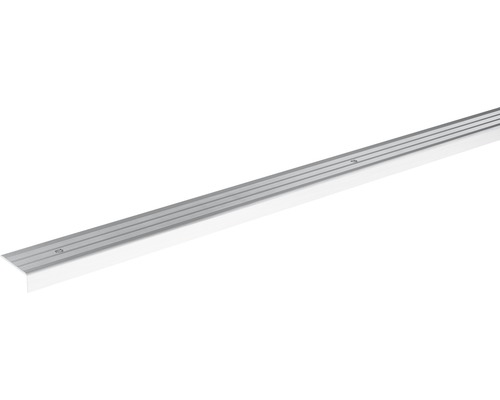 SKANDOR Hoekprofiel Zilver schroefbaar 24,5 mm, 2700 mm Trapprofiel van metaal