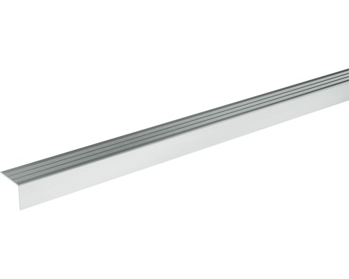 SKANDOR Hoekprofiel Zilver zelfklevend 24,5 mm, 2700 mm Trapkantprofiel van aluminium met groeven