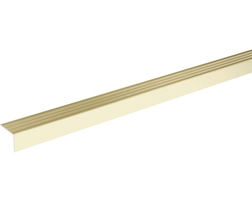SKANDOR Hoekprofiel Champagne zelfklevend 24,5 mm, 2700 mm Kunststof hoekprofiel