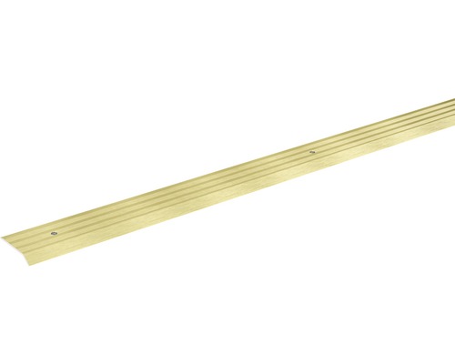 SKANDOR Overgangsprofiel Champagne schroefbaar 29 mm, 2700 mm Metalen overgangsprofiel voor vloeren