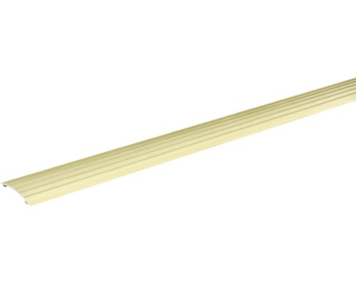 SKANDOR Overgangsprofiel Champagne zelfklevend 40 mm, 2700 mm Trapkantprofiel van metaal met geribbeld oppervlak