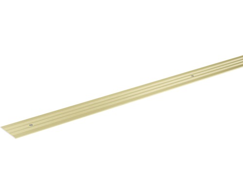 SKANDOR Overgangsprofiel Champagne schroefbaar 29,5 mm, 2700 mm Metalen overgangsprofiel met schroeven
