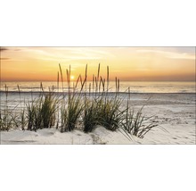 Strand met gras bij zonsondergang