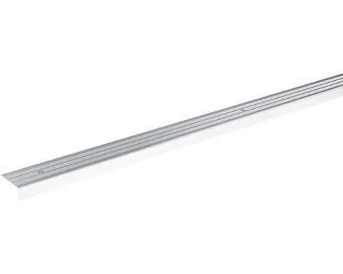 SKANDOR Hoekprofiel Zilver schroefbaar 24,5 mm, 900 mm Aluminium traprandprofiel