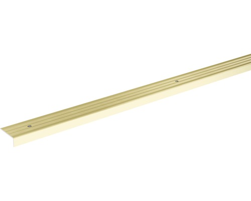 SKANDOR Hoekprofiel Champagne schroefbaar 24,5 mm, 900 mm Traprandprofiel van aluminium met schroeven