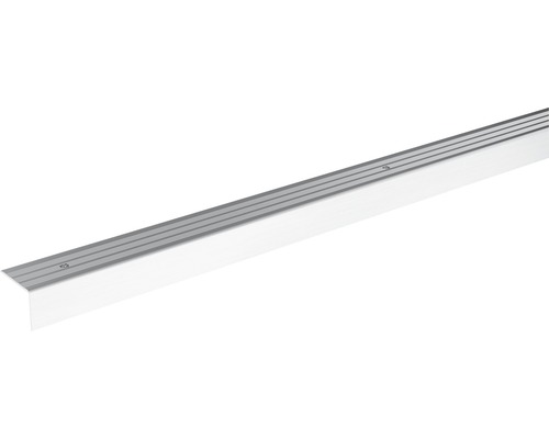 SKANDOR Hoekprofiel Zilver schroefbaar 24,5 mm, 900 mm Aluminium trapprofiel met schroeven