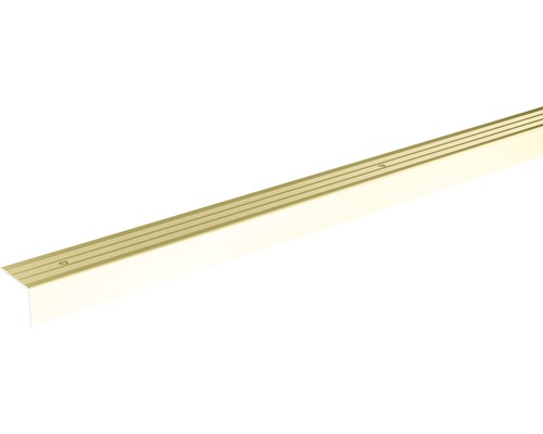 SKANDOR Hoekprofiel Champagne schroefbaar 24,5 mm, 900 mm Trapkantprofiel van metaal met schroeven