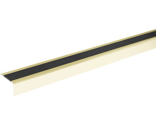 SKANDOR Trapkantprofiel Champagne schroefbaar 42 mm, 1350 mm Hoekbeschermingsprofiel met antislip oppervlak