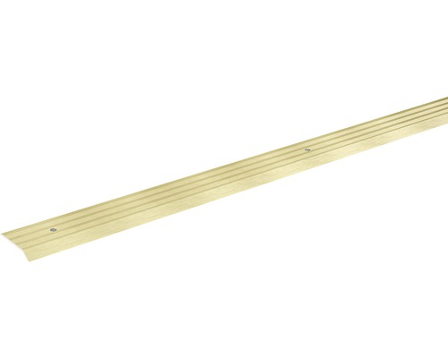 SKANDOR Overgangsprofiel Champagne schroefbaar 29 mm, 900 mm Metalen afwerkingsprofiel met schroeven