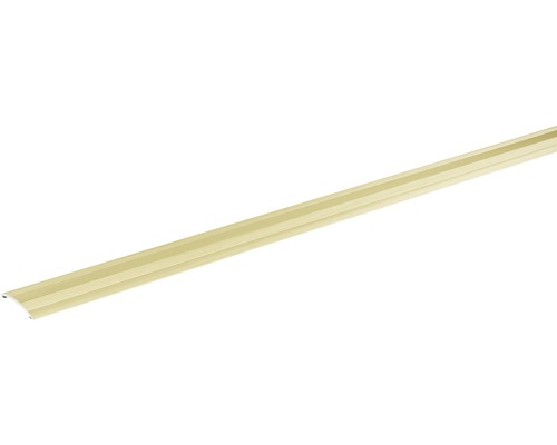 SKANDOR Overgangsprofiel Champagne zelfklevend 28 mm, 900 mm Vloerprofiel van metaal