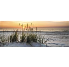 Strandlandschap met gras en zonsondergang