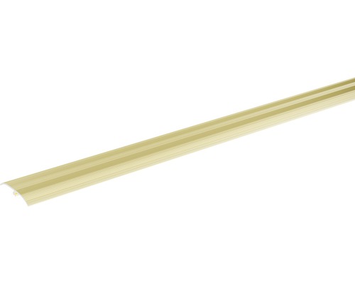 SKANDOR Overgangsprofiel Champagne zelfklevend 37 mm, 2700 mm LED-lamp in staafvorm