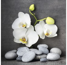 Orchidee met rivierstenen