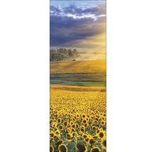 Zonnebloemveld onder een bewolkte hemel