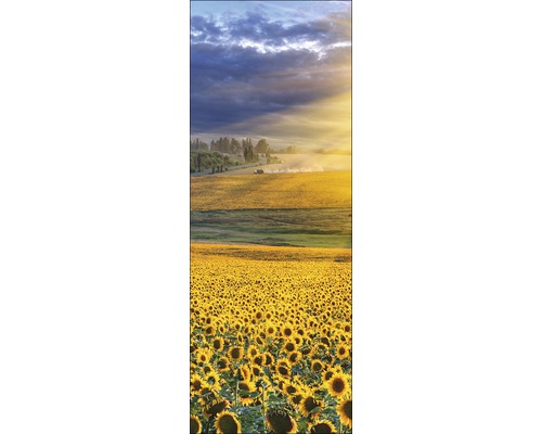 PURE LIVING Schilderij glas Sunflower field 30x80 cm