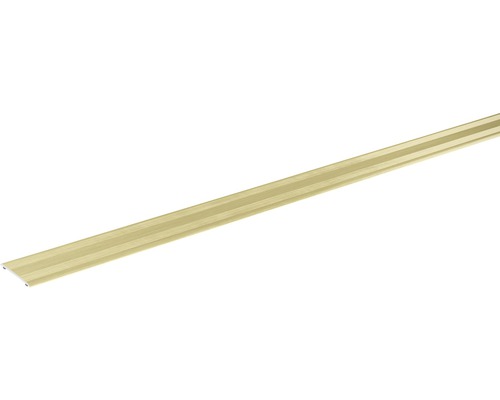 SKANDOR Overgangsprofiel Champagne zelfklevend 28 mm, 900 mm Aluminium profielstrip
