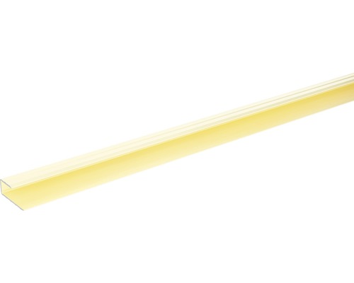 SKANDOR Startprofiel fit-fix Champagne zelfklevend 29 mm, 900 mm Kunststof eindprofiel