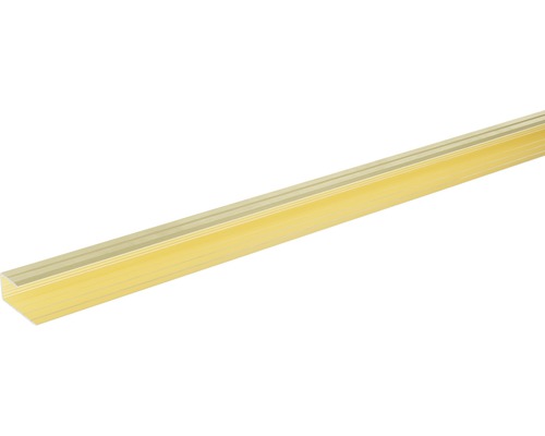 SKANDOR Startprofiel fit-fix Champagne zelfklevend 29 mm, 900 mm Hoekprofiel van kunststof