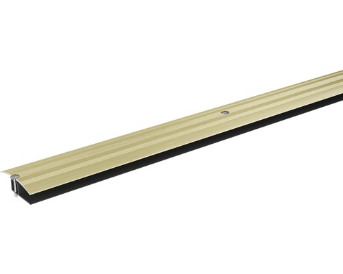 SKANDOR Overgangsprofiel Champagne schroefbaar 40 mm, 930 mm Metalen deurafdichtingsprofiel met borstelafdichting