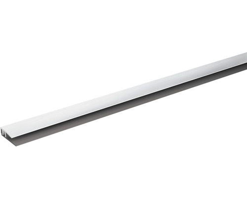 SKANDOR Afsluitprofiel Zilver met onderprofiel 21 mm, 900 mm Deurafdichtingsprofiel