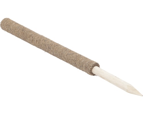 Plantenstaaf van hout met kokosvezelomhulsel