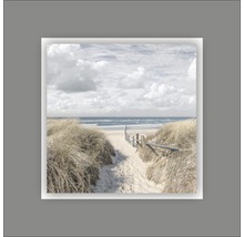 Decoratieve wanddecoratie met een pad door de duinen naar het strand en de zee.