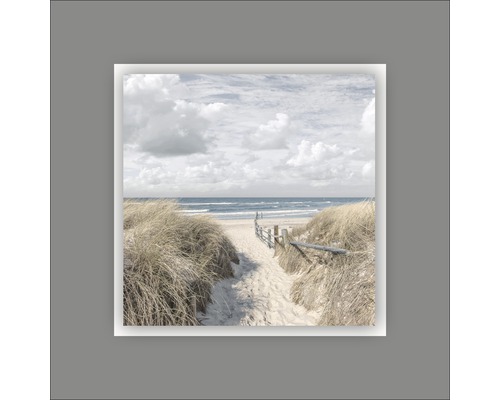 Decoratieve wanddecoratie met een pad door de duinen naar het strand en de zee.