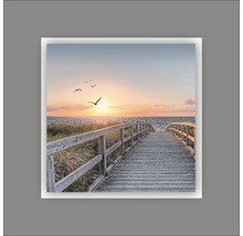 Decoratieve muurafbeelding met houten steiger naar het strand bij zonsondergang en vliegende vogels