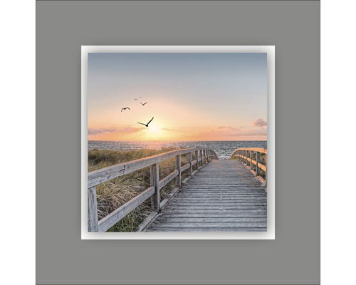Decoratieve muurafbeelding met houten steiger naar het strand bij zonsondergang en vliegende vogels