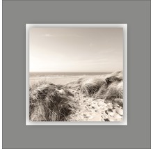 Fotoafdruk met strandmotief en duingras