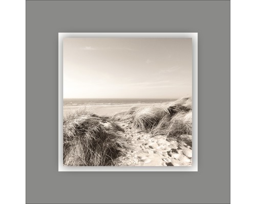 Fotoafdruk met strandmotief en duingras