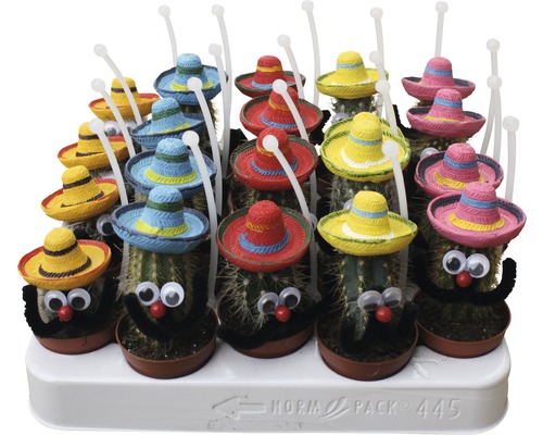 Een opstelling van cactussen met kleurrijke sombrero''s, rollende ogen en snorren in potten.