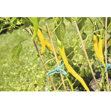 FLAORASELF Bamboesplitstok 4mm 40 cm 10st