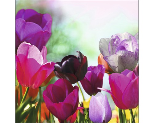 PURE LIVING Schilderij glas Colorful Tulips II 30x30 cm