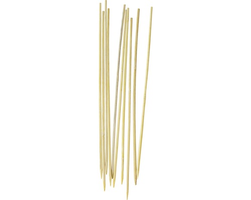 Bamboe spiesjes voor de barbecue