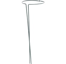 FLORASELF Plantensteun 2-delig H 70 cm