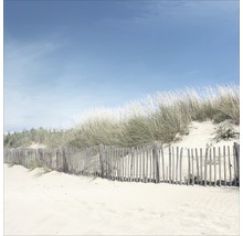 Duinlandschap met houten hek onder blauwe lucht