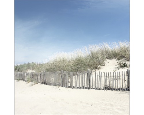 PURE LIVING Schilderij glas Sand Dunes 50x50 cm