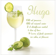 Hugo cocktailrecept met prosecco, mineraalwater, vlierbloesemsiroop, limoen en munt