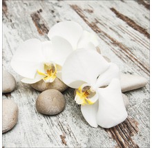 Stilleven met witte orchideeën en stenen op een houten achtergrond