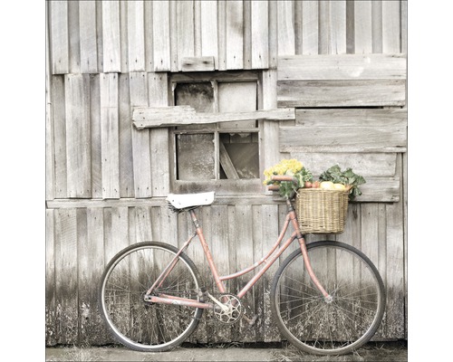 PURE LIVING Schilderij glas Vegetable Bicycle 50x50 cm