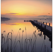 Houten steiger op een meer bij zonsopgang met riet op de voorgrond.